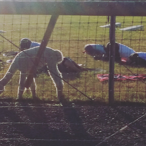 Livestock Breeder «Alpacas at Marquam Hill Ranch», reviews and photos, 35835 OR-213, Molalla, OR 97038, USA