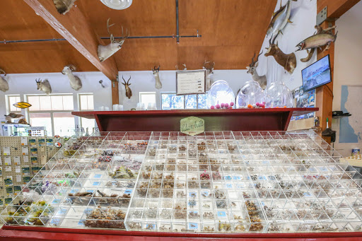 Sporting Goods Store «Mosquito Creek Outfitters», reviews and photos, 3000 Mosquito Rd, Placerville, CA 95667, USA