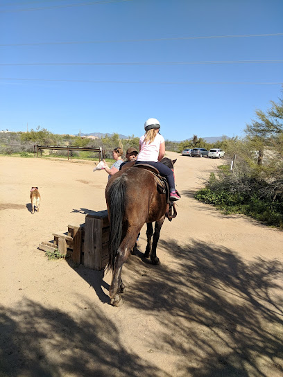 Cave Creek Outfitters, Horseback Riding, UTV/ATV Rental