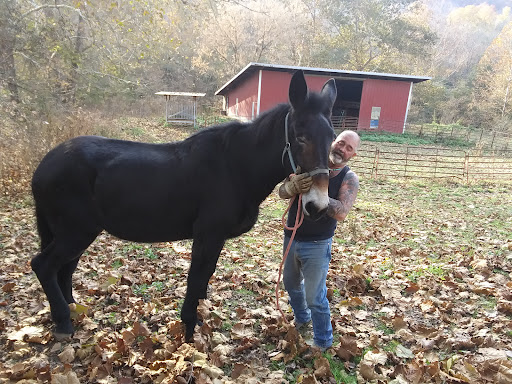 Brookville Veterinary Clinic image