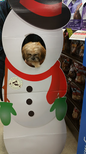 Pet Supply Store «Premier Pet Supply», reviews and photos, 15399 Merriman Rd, Livonia, MI 48154, USA