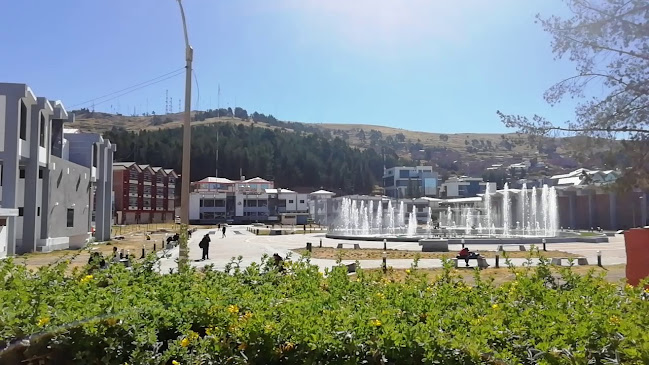 Universidad Nacional del Altiplano Puno - Puno
