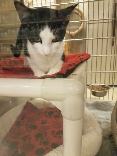 Pet Supply Store «PetSmart», reviews and photos, 1390 N Dupont Hwy, Dover, DE 19901, USA