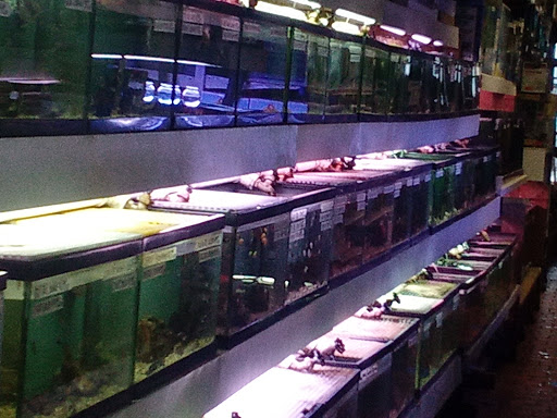 Paradise Aquarium image 2