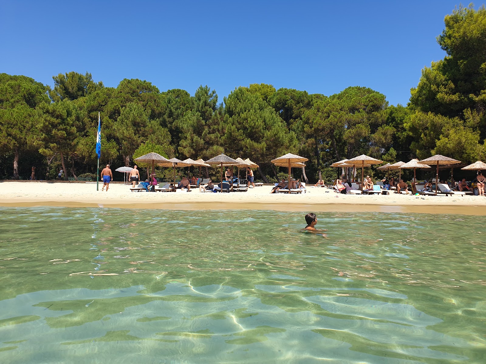 Fotografie cu Plaja Koukounaries - locul popular printre cunoscătorii de relaxare