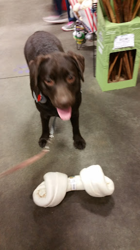 Garden Center «A W Brown Pet & Garden», reviews and photos, 144 Shaker Rd, East Longmeadow, MA 01028, USA