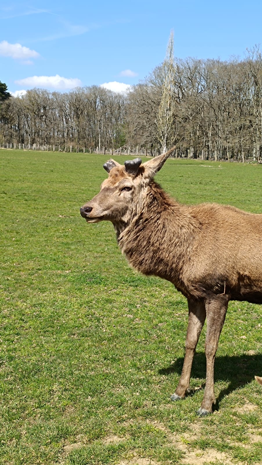 Photo n° 3 de l'avis de Vero.e fait le 11/04/2023 à 11:18