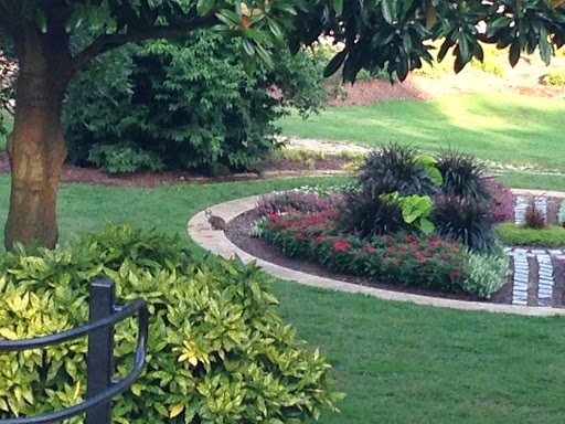 Park «Pullen Park», reviews and photos, 408 Ashe Ave, Raleigh, NC 27606, USA
