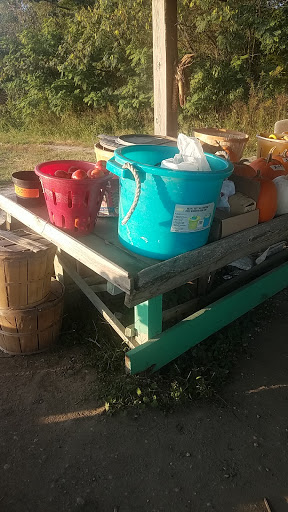 Grocery Store «Liepes Farm & Market», reviews and photos, 3135 S Cologne Ave, Mays Landing, NJ 08330, USA