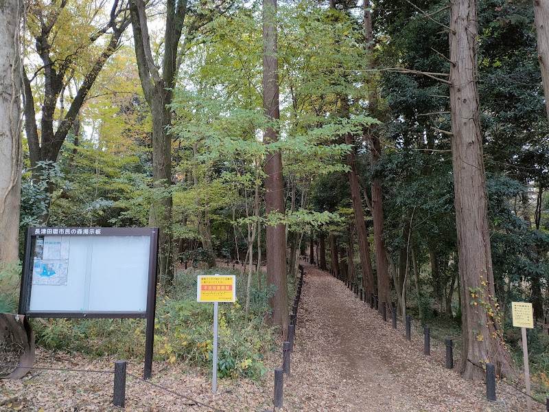 長津田宿 市民の森