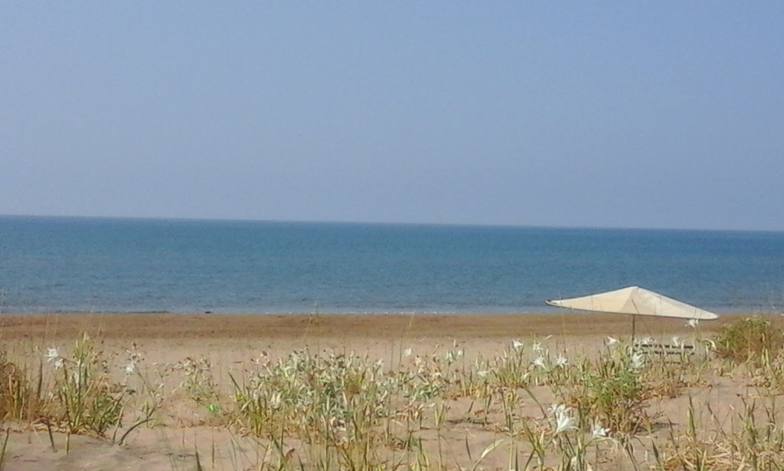 Fotografija Letrina beach z srednje stopnjo čistoče