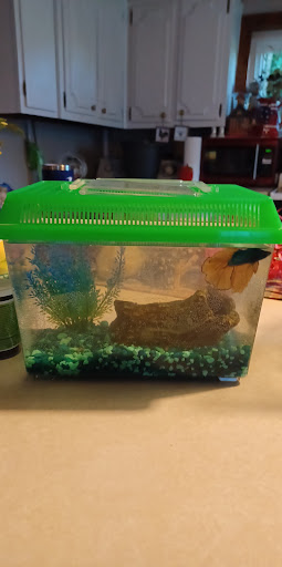 Pet Supply Store «Thunder Valley Pet Pantry», reviews and photos, 692 Main St, Hallstead, PA 18822, USA