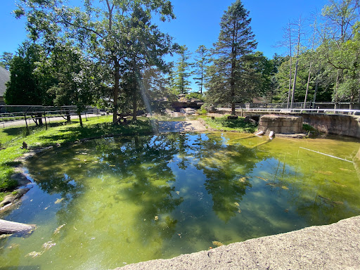 Zoo «NEW Zoo & Adventure Park», reviews and photos, 4378 Reforestation Rd, Green Bay, WI 54313, USA