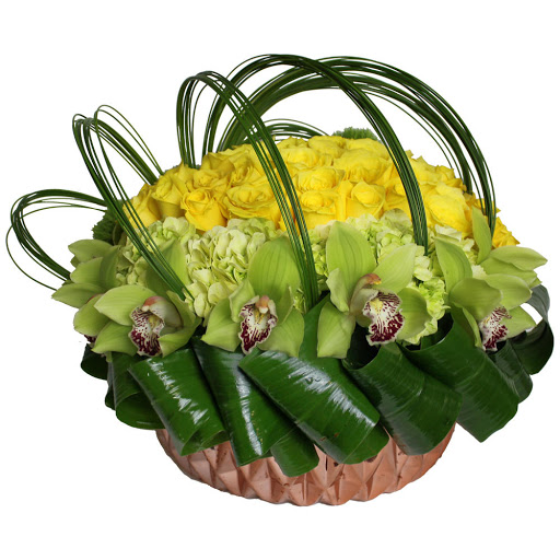 Florist «Amazing Flowers Miami», reviews and photos, 252 Sunny Isles Blvd #2b, Sunny Isles Beach, FL 33160, USA