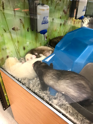 Pet Supply Store «Petco Animal Supplies», reviews and photos, 5601 Brodie Ln, Sunset Valley, TX 78745, USA