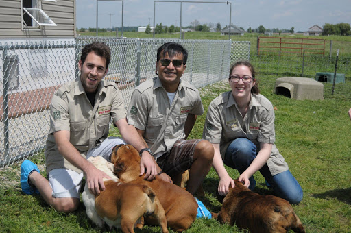 Pet Supply Store «Safari Stans Pet Center», reviews and photos, 142 Amity Rd, New Haven, CT 06515, USA