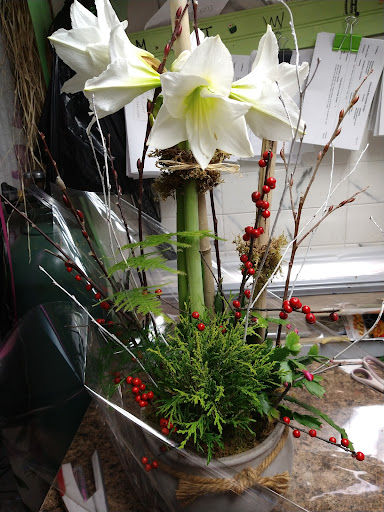 Florist «Paradise Florist Corp.», reviews and photos, 634 W 207th St, New York, NY 10034, USA