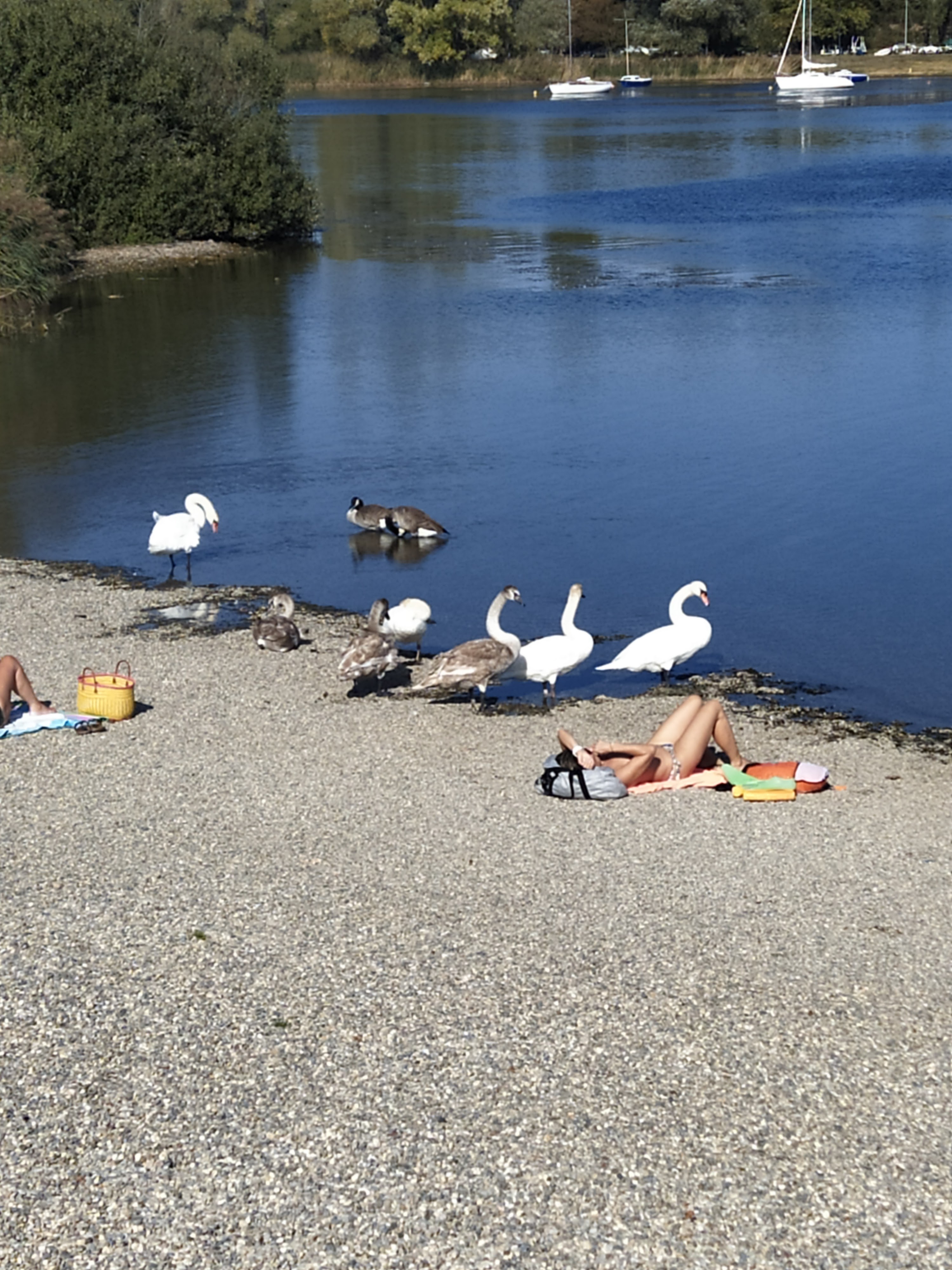 Photo n° 3 de l'avis de Calia.4 fait le 02/10/2023 à 15:11