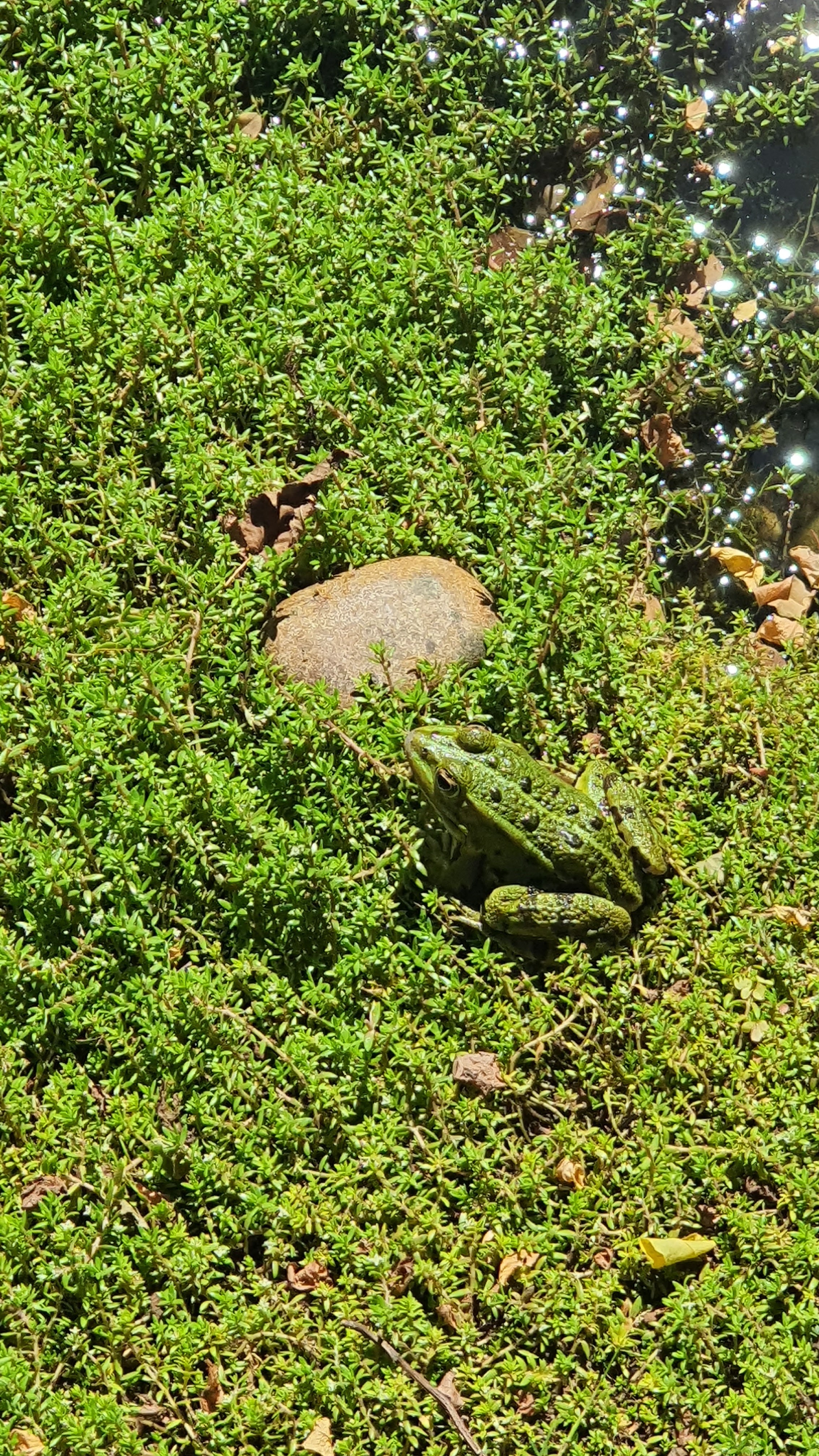 Photo n° 24 de l'avis de jean.u fait le 07/08/2022 à 13:53