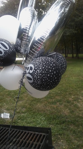 Park «North Water Tower Park», reviews and photos, 4700 Rilma Ave, Sarasota, FL 34234, USA