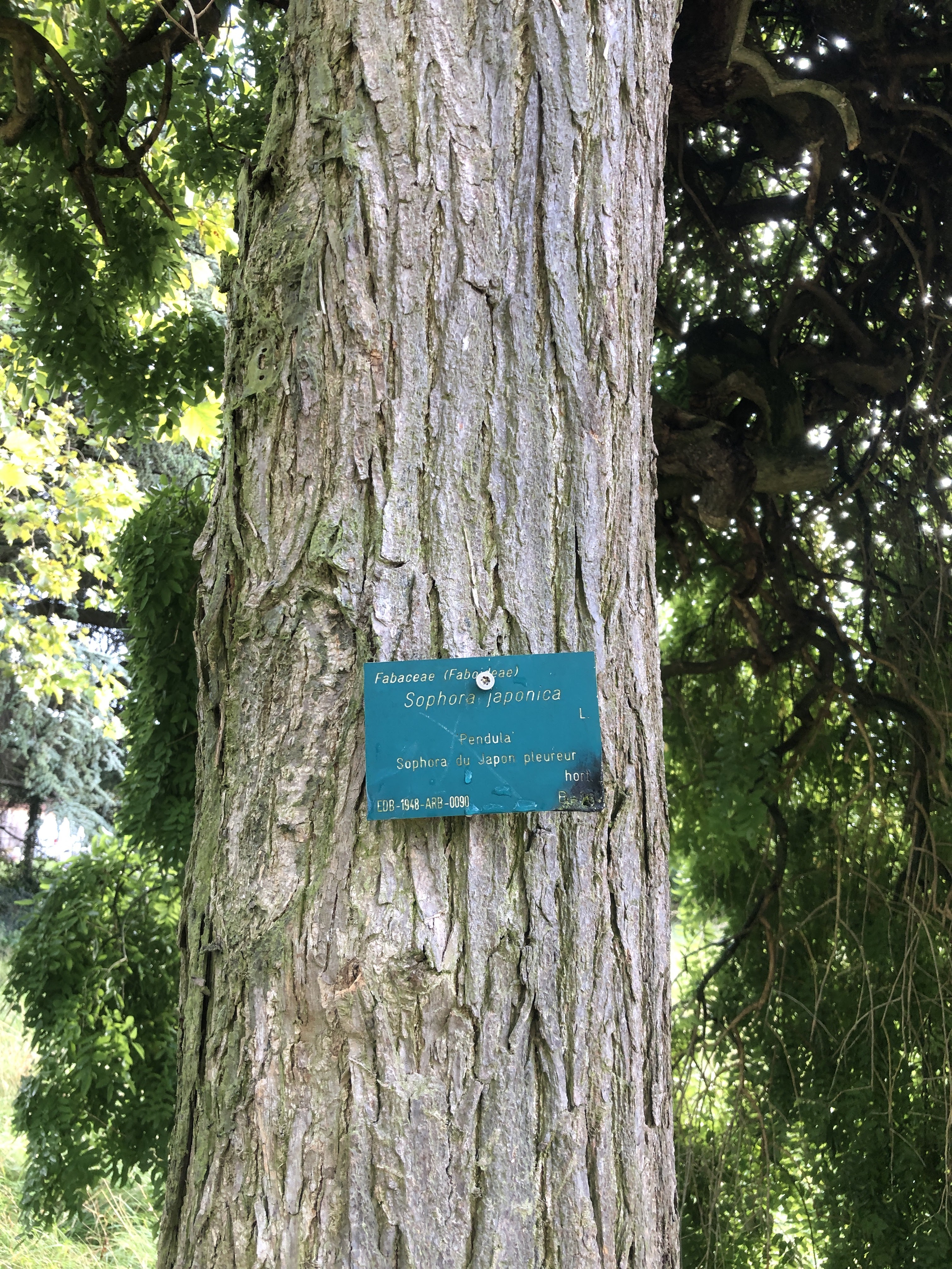 Photo n° 9 de l'avis de Munkhkhuslen.a fait le 29/08/2023 à 23:03