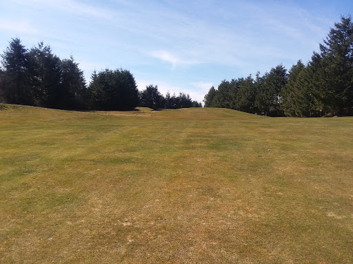 Golf Club «The Golf Club at Hawks Prairie», reviews and photos, 8383 Vicwood Ln NE, Lacey, WA 98516, USA