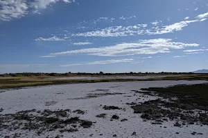 Willard Bay Reservoir image
