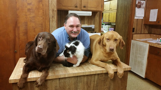 Byreview Veterinary Clinic: Stroderd Damian DVM image