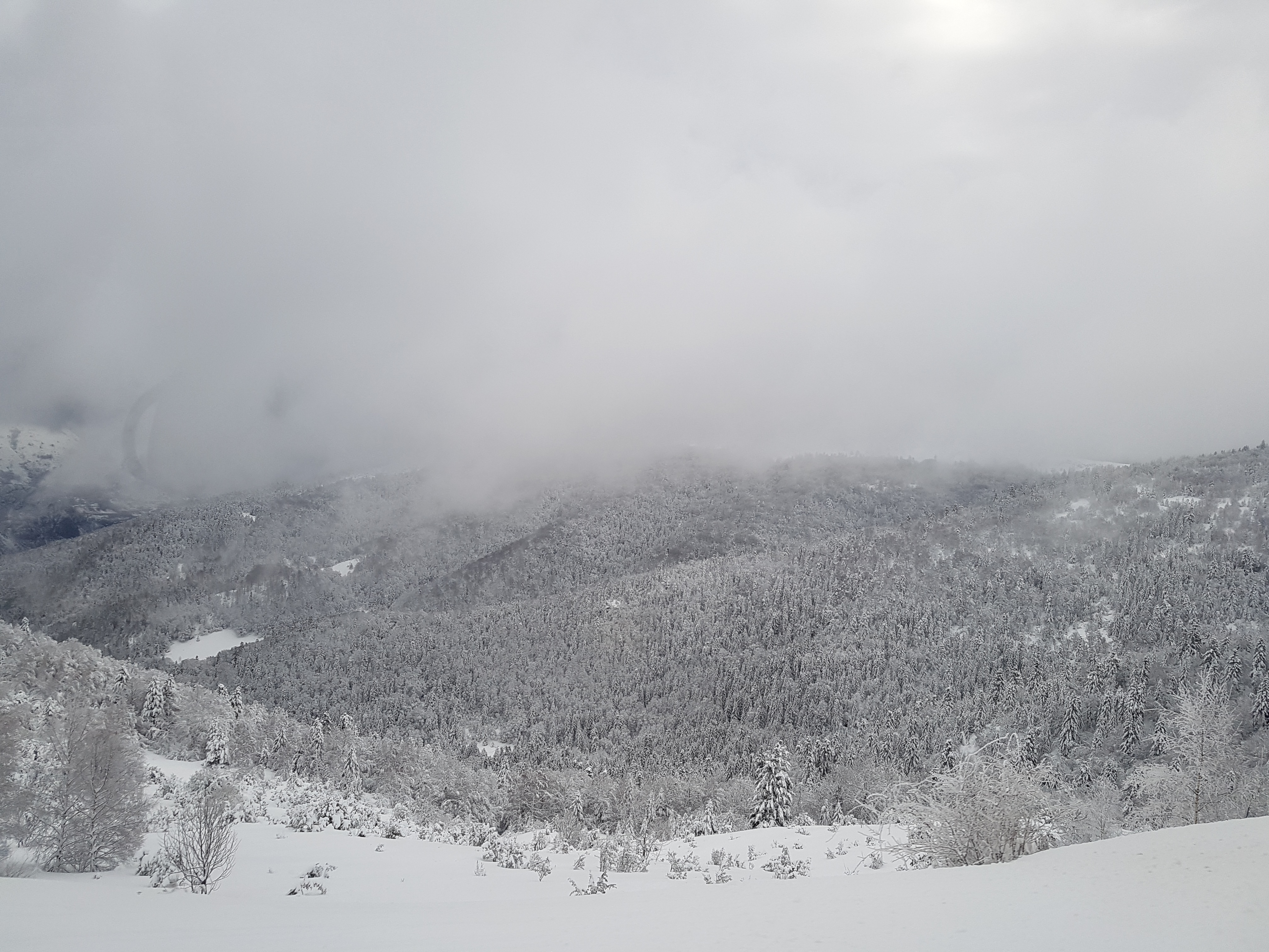 Photo n° 4 de l'avis de RedBull. fait le 06/03/2018 à 15:51
