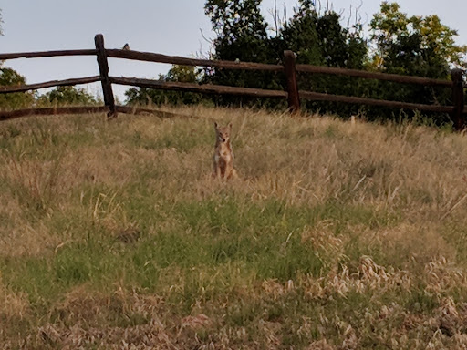 Park «Broadmoor Valley Park», reviews and photos, 3750 Broadmoor Valley Rd, Colorado Springs, CO 80906, USA