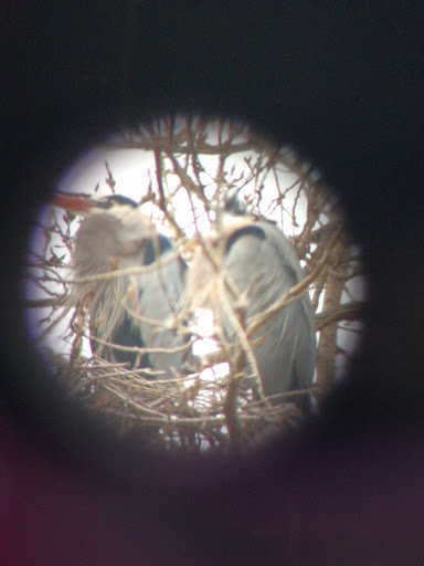 Park «Marshall Terrace Park», reviews and photos, 2740 Marshall St NE, Minneapolis, MN 55418, USA