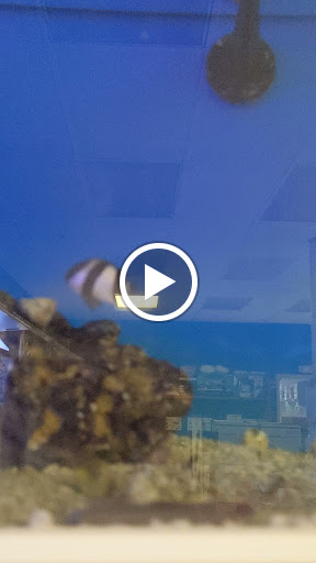 Pet Supply Store «Petco Animal Supplies», reviews and photos, 300 Hylan Dr, Rochester, NY 14623, USA