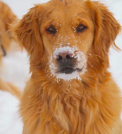 Dusty Plains Veterinary image