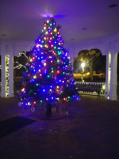 Performing Arts Theater «Aurora Community Theater», reviews and photos, 115 E Pioneer Trail, Aurora, OH 44202, USA