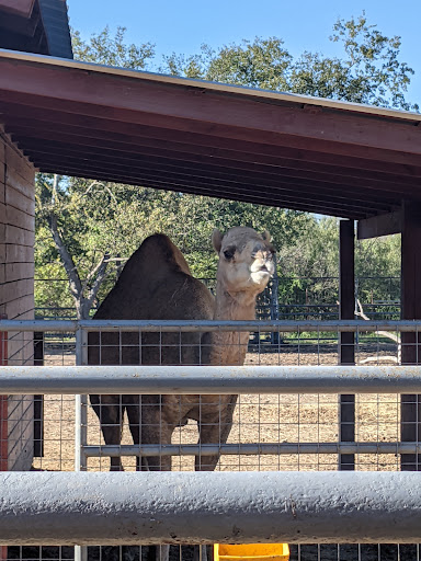 Zoo «Animal World & Snake Farm Zoo», reviews and photos, 5640 Interstate 35 Frontage Rd, New Braunfels, TX 78132, USA