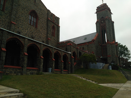 Dollar Store «Dollar Tree», reviews and photos, 217 Glen St, Glen Cove, NY 11542, USA