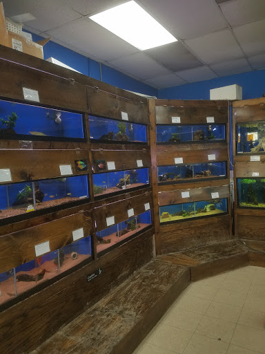 Pet Supply Store «Tropical World Pets», reviews and photos, 8444 Watson Rd, Webster Groves, MO 63119, USA