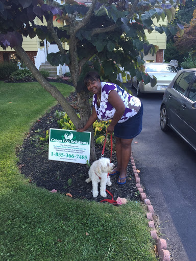 Home Improvement Store «Green Eco Solutions», reviews and photos