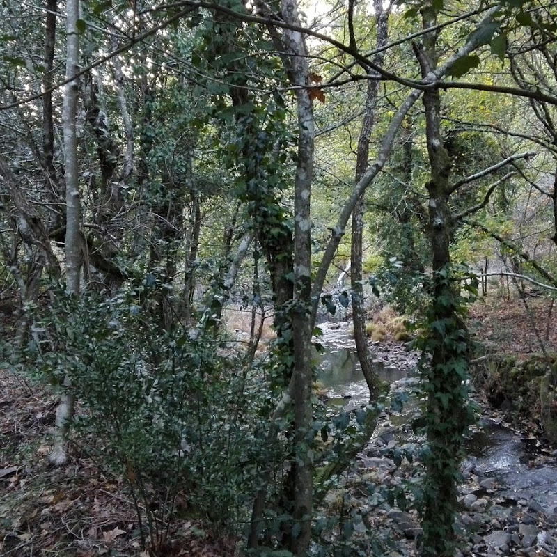 4 image