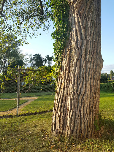 Community Center «Jewish Community Center», reviews and photos, 100 Grant Ave #1, Deal, NJ 07723, USA