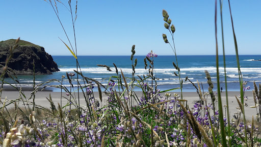 Tourist Attraction «Haystack Rock», reviews and photos, US-101, Cannon Beach, OR 97110, USA