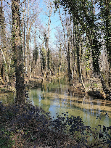 Promenade Du Marais Des Bidonnes à Divonne-les-Bains