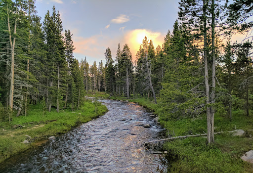 National Forest «Bighorn National Forest», reviews and photos