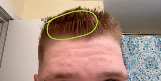 Hair Salon «Tease Barber & Beauty Shop», reviews and photos, 25565 Van Born Rd, Taylor, MI 48180, USA