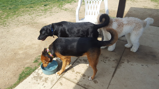 Dog Park «Worthington Off Leash Dog Park», reviews and photos, 8170 Hillsborough Rd, Ellicott City, MD 21043, USA