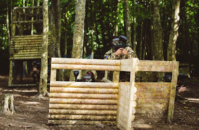 GO Action Forest - Paintballing / Laser Tag / Zorbing
