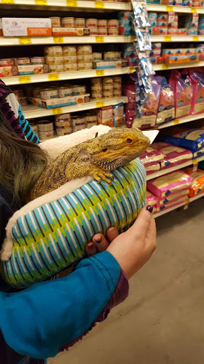 Pet Supply Store «PetSmart», reviews and photos, 73 RHL Blvd, South Charleston, WV 25309, USA