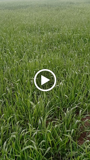 Thrift Store «Goodwill», reviews and photos