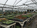 Primrose Nursery