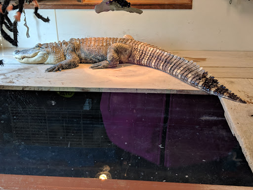 Pet Store «Night Stalkers Pet Emporium», reviews and photos, 5008 Madison Ave, Anderson, IN 46013, USA